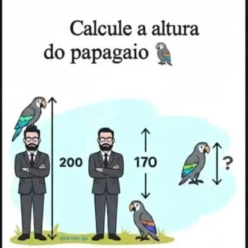 Desafio do Dia: Calcule a Altura do Papagaio