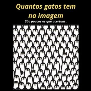 Desafio do Dia: Quantos Gatos Tem na Imagem? Poucos Conseguem Acertar