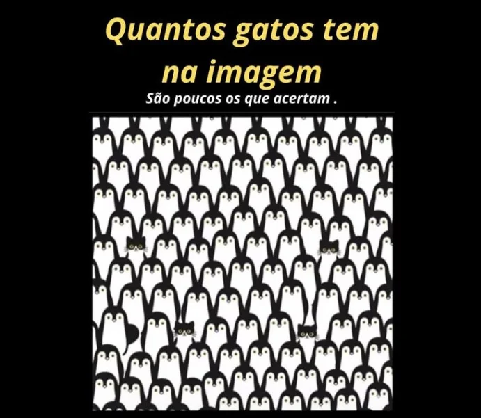 Desafio do Dia: Quantos Gatos Tem na Imagem? Poucos Conseguem Acertar