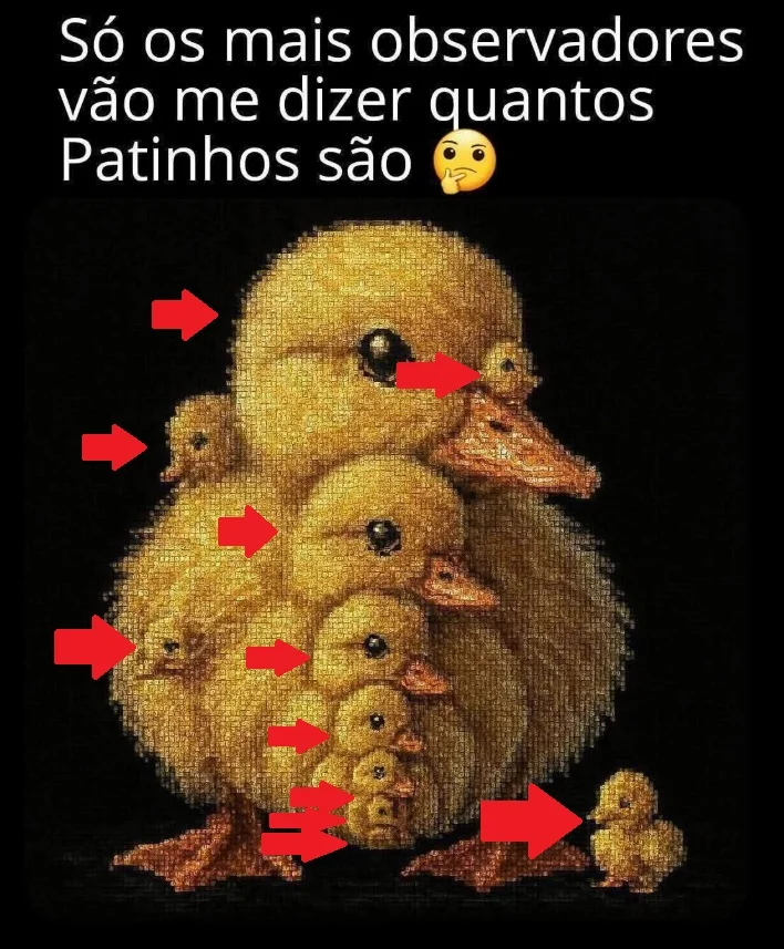 Desafio do Dia: Quantos Patinhos Estão Escondidos na Imagem?
