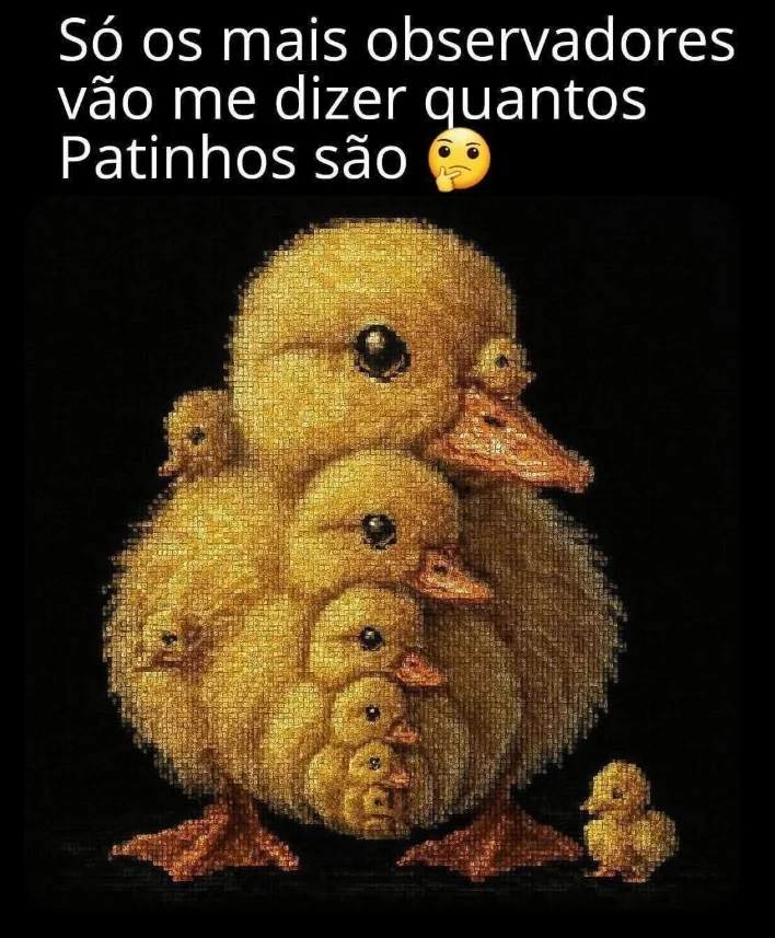 Desafio do Dia: Quantos Patinhos Estão Escondidos na Imagem?