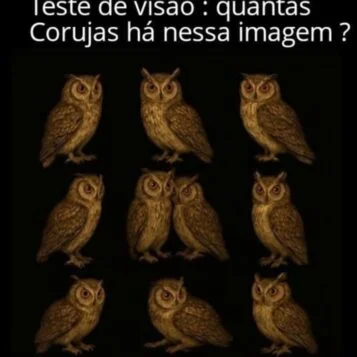 Teste de Visão: Quantas Corujas Há Nessa Imagem?