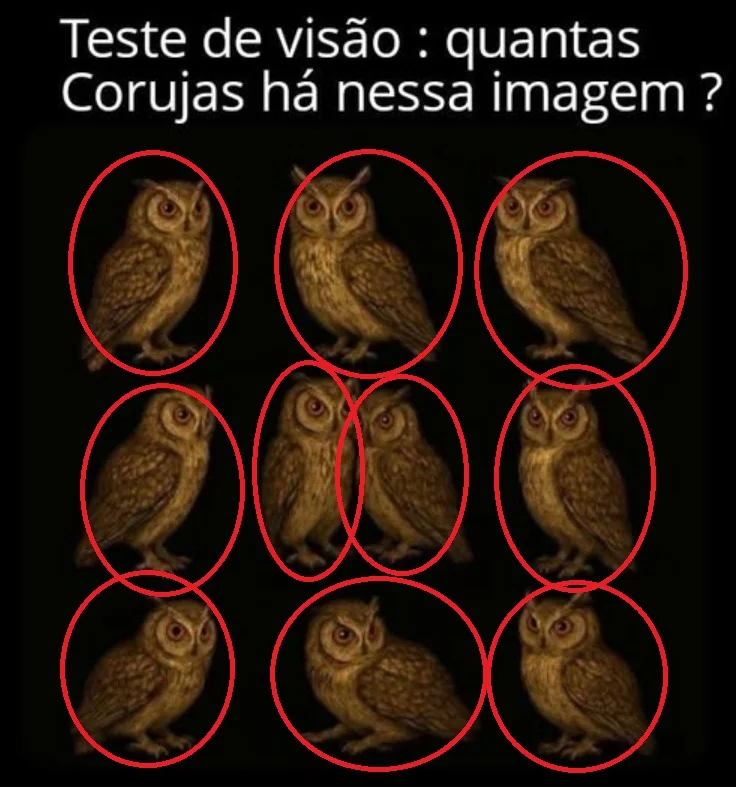 Teste de Visão: Quantas Corujas Há Nessa Imagem?