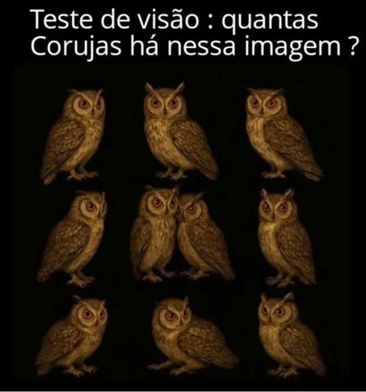 Teste de Visão: Quantas Corujas Há Nessa Imagem?