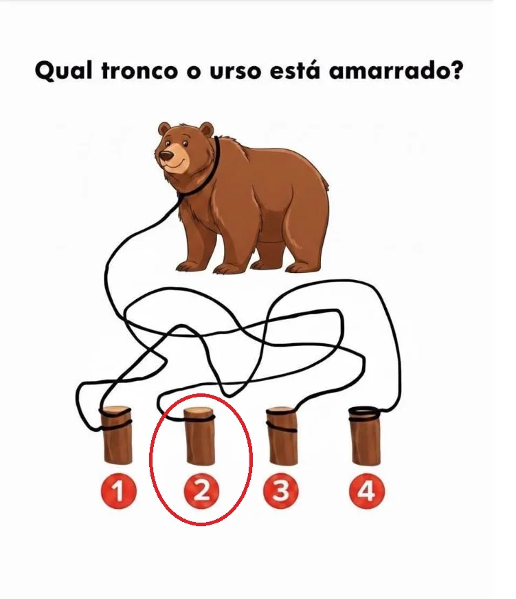 Desafio do Dia: Em Qual Tronco o Urso Está Amarrado?