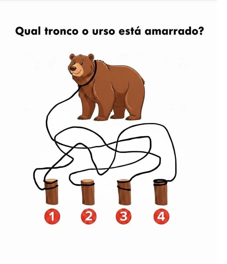 Desafio do Dia: Em Qual Tronco o Urso Está Amarrado?