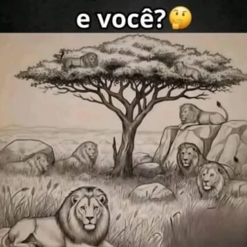 Desafio do Dia: Eu Vejo 5 Leões… E Você?
