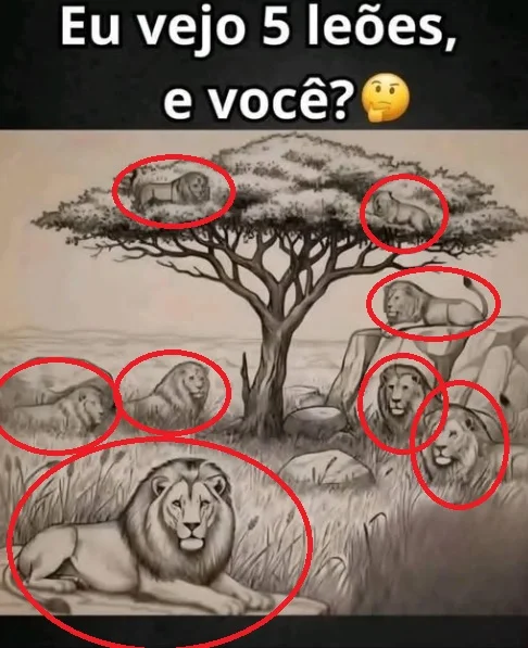 Desafio do Dia: Eu Vejo 5 Leões… E Você?