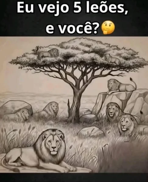 Desafio do Dia: Eu Vejo 5 Leões… E Você?