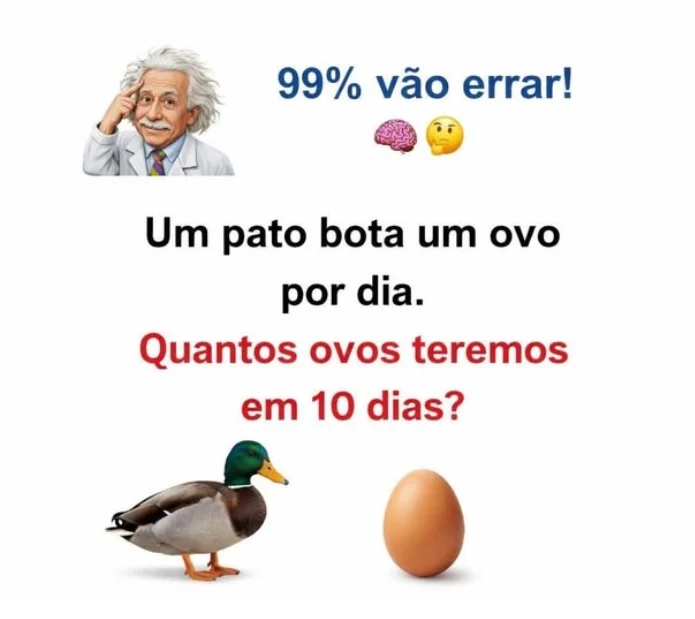 99% Vão Errar: O Desafio do Ovo de Pato