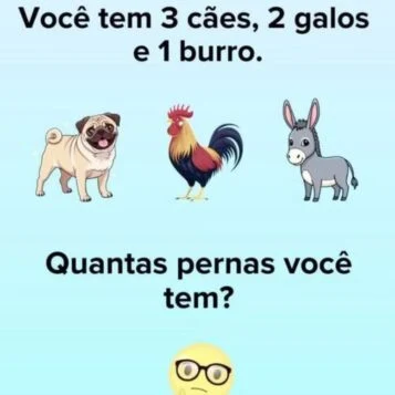 Desafio do Dia: Quantas Pernas Você Tem?