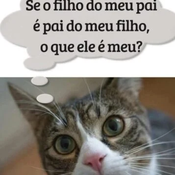 Desafio do dia: O filho do meu pai é pai do meu filho