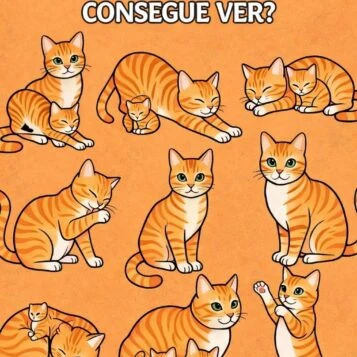 Quantos gatos você consegue ver?