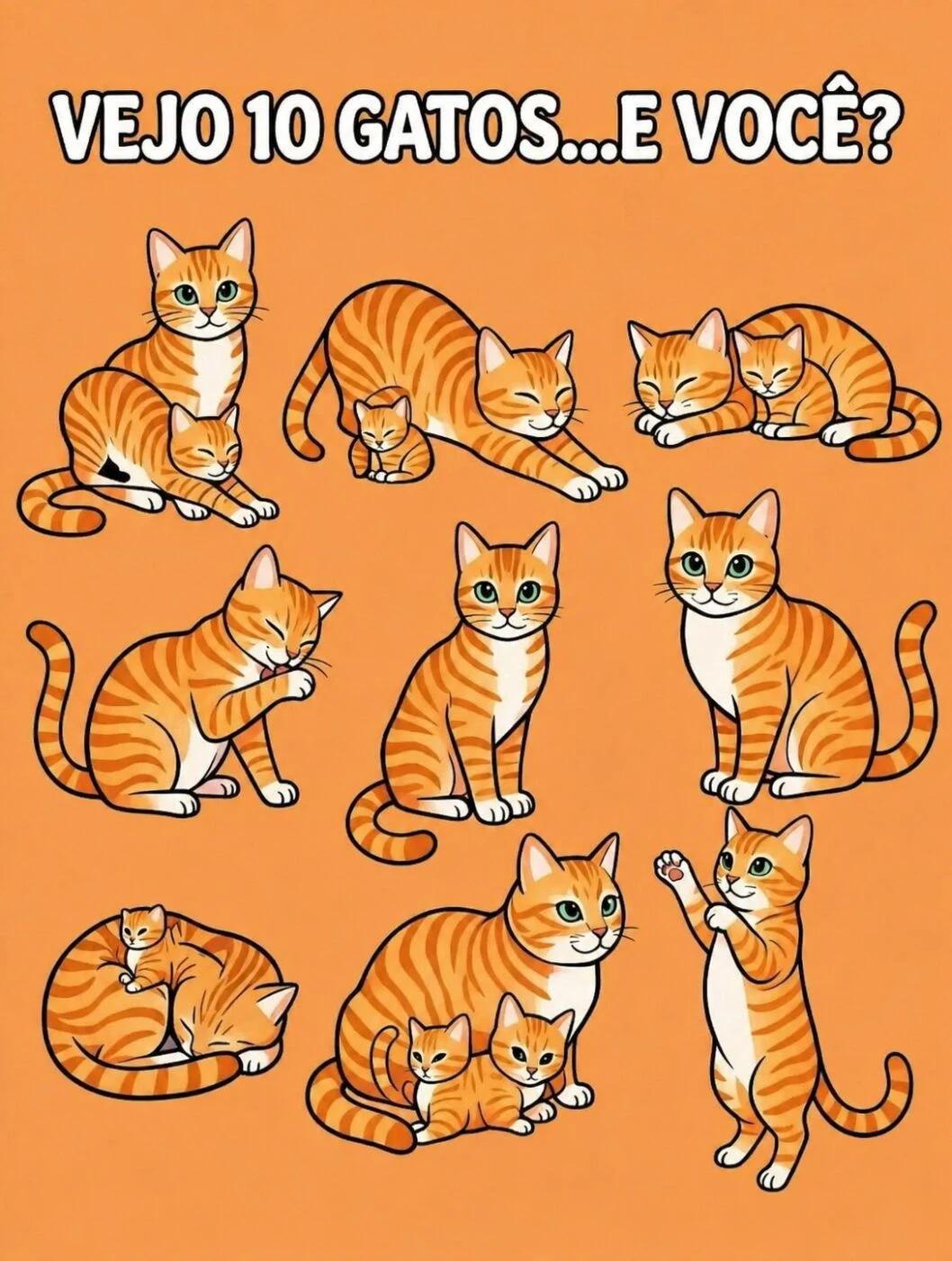 desafio visual com gatos quantos você consegue encontrar