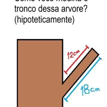 como medir o tronco dessa árvore desafio de lógica visual