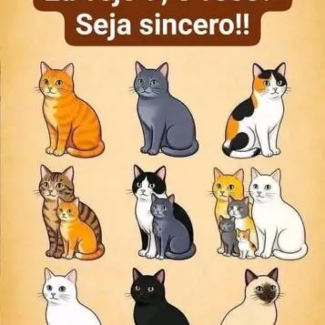 Imagem com vários gatos escondidos em um desafio visual que pergunta quantos felinos aparecem na cena
