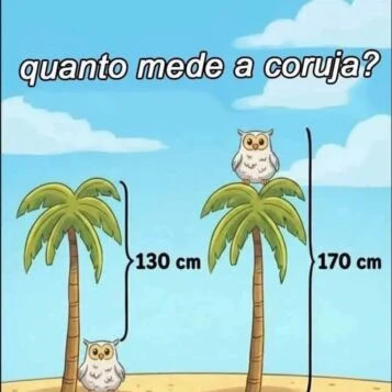 quanto mede a coruja desafio com árvore e medidas em centímetros