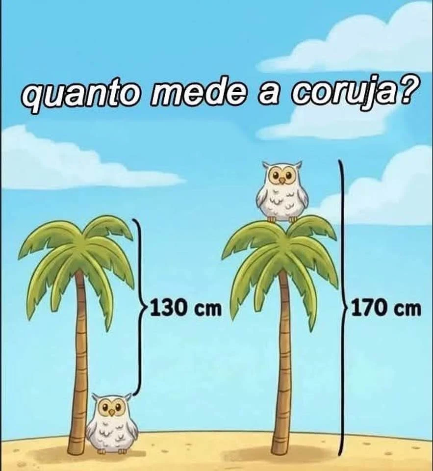 quanto mede a coruja desafio com árvore e medidas em centímetros