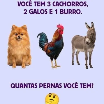 Desafio de lógica perguntando quantas pernas você tem com cachorro, galo e burro ilustrados