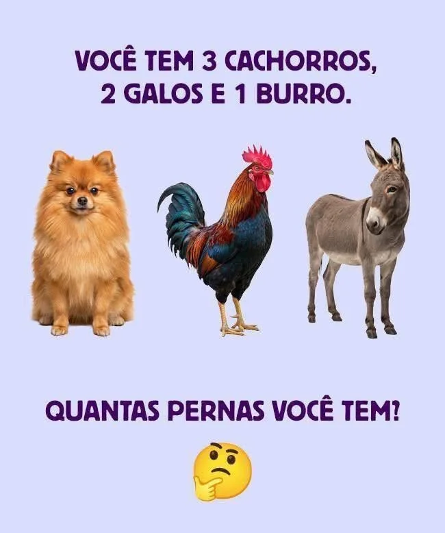Desafio de lógica perguntando quantas pernas você tem com cachorro, galo e burro ilustrados