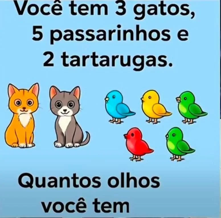 Desafio de lógica perguntando quantos olhos você tem com gatos, passarinhos e tartarugas ilustrados