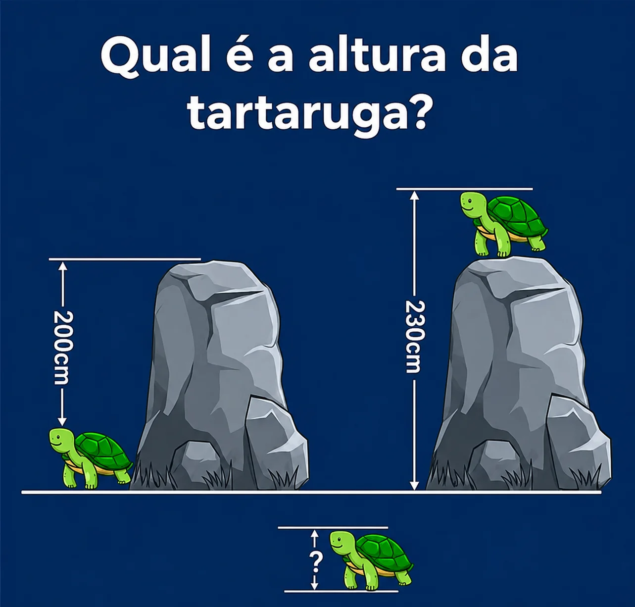 Desafio de lógica perguntando qual é a altura da tartaruga usando uma pedra e duas medidas de 200 cm e 230 cm.