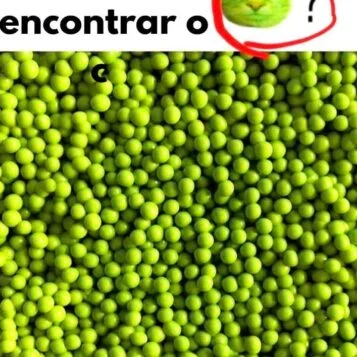 Desafio visual para encontrar um gato verde escondido entre várias ervilhas.