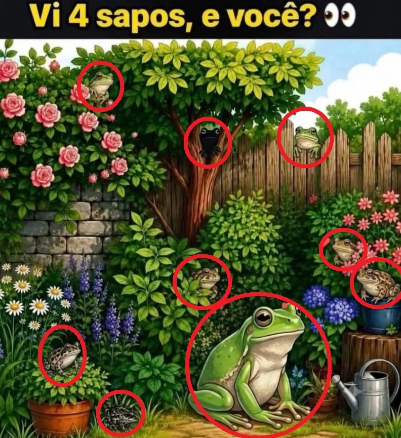 Desafio visual para encontrar sapos escondidos em um jardim cheio de flores e vegetação.