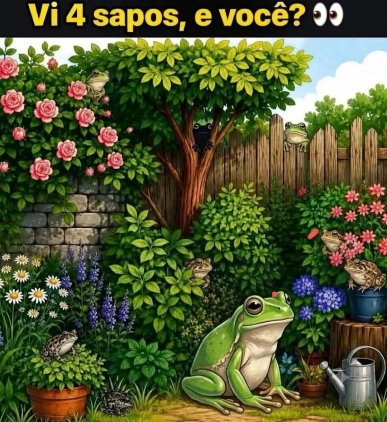 Desafio visual para encontrar sapos escondidos em um jardim cheio de flores e vegetação.