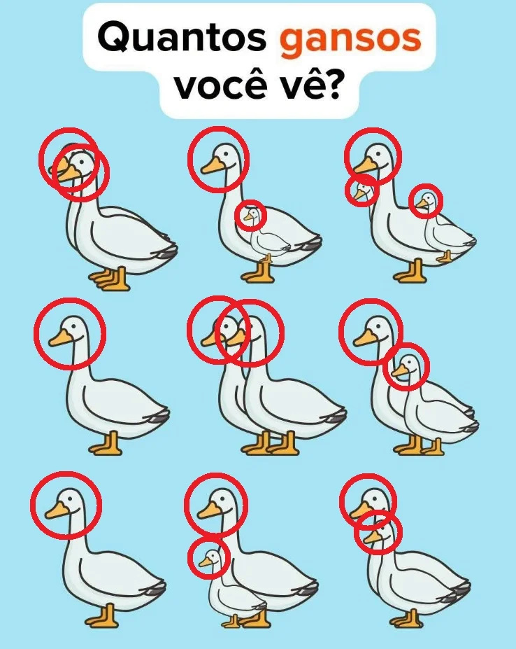 Desafio visual para encontrar todos os gansos escondidos em uma imagem com fundo azul.