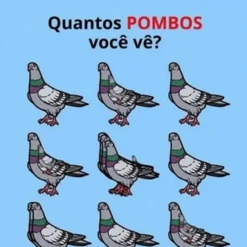 Desafio visual para encontrar todos os pombos escondidos em uma imagem com várias aves sobrepostas.