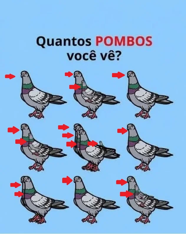 Desafio visual para encontrar todos os pombos escondidos em uma imagem com várias aves sobrepostas.