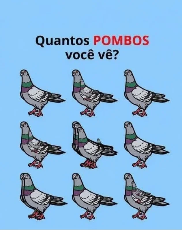 Desafio visual para encontrar todos os pombos escondidos em uma imagem com várias aves sobrepostas.