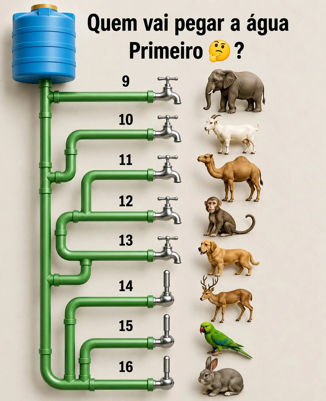 Desafio de lógica com torneiras numeradas de 9 a 16 e animais esperando pela água