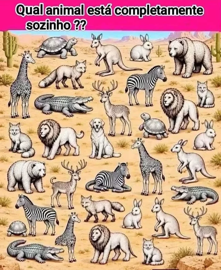 Desafio visual com vários animais em preto e branco para descobrir qual aparece sozinho.